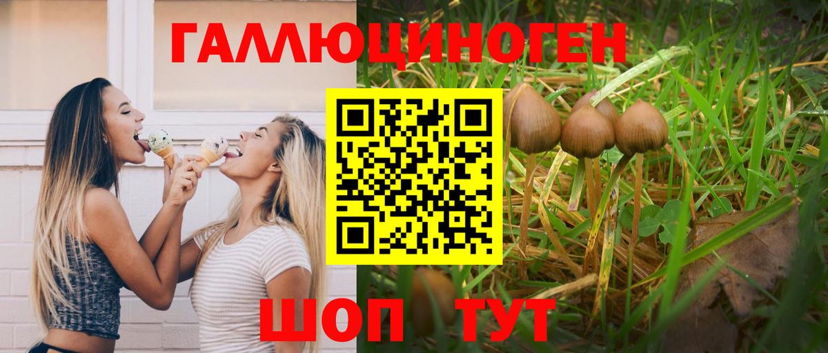 Псилоцибиновые грибы Magic Shrooms  Псилоцибиновые грибы Cubensis  Борисоглебск  закладки  Вход с VPN 