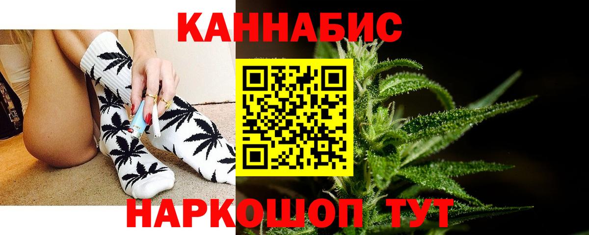 Бошки Шишки планчик Борисоглебск